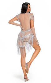 Sparkly Rhinestone Fringes Dress